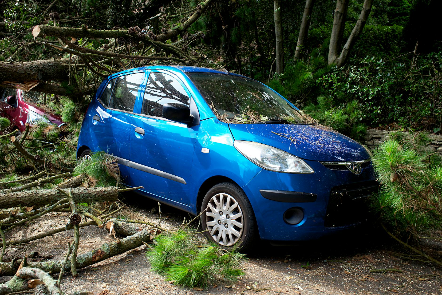 Insurance Approved Vehicle Tracker - Thatcham Certified Fleet GPS